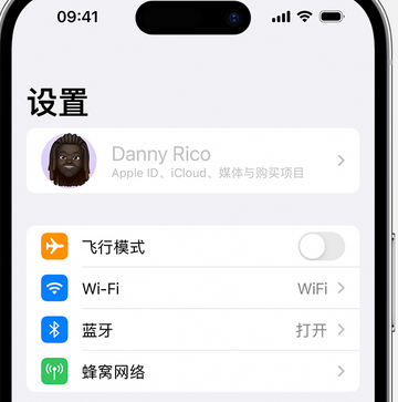 青县appleID维修服务iPhone设置中Apple ID显示为灰色无法使用 
