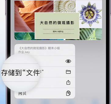 青县apple维修中心分享iPhone文件应用中存储和找到下载文件