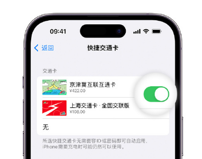 青县apple维修点分享iPhone上更换Apple Pay快捷交通卡手绘卡面 