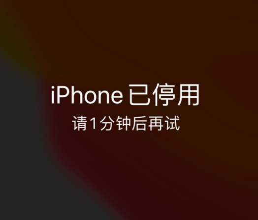 青县苹果手机维修分享:iPhone 显示“不可用”或“已停用”怎么办？还能保留数据吗？ 