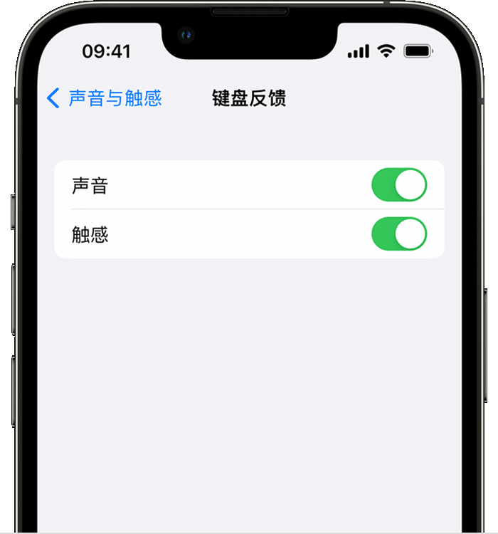 青县苹果14维修店分享如何在 iPhone 14 机型中使用触感键盘 