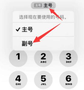 青县苹果14维修店分享iPhone 14 Pro Max使用副卡打电话的方法 