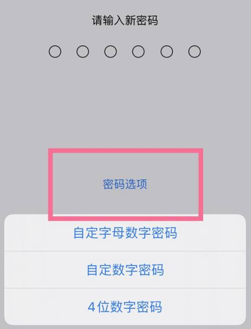 青县苹果14维修分享iPhone 14plus设置密码的方法 