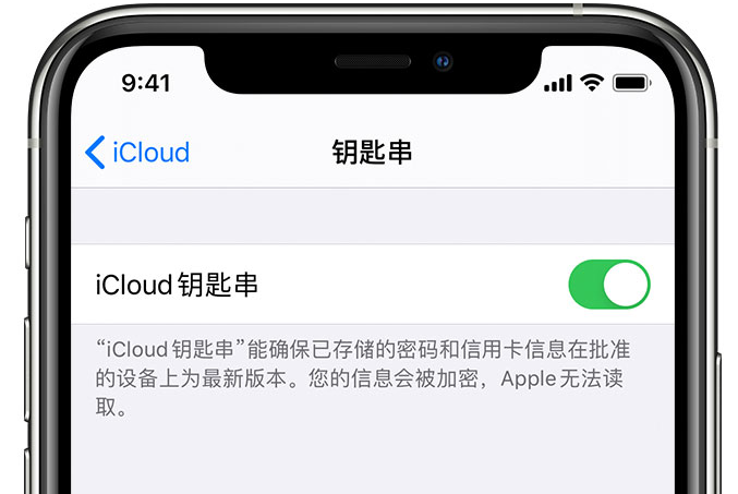 青县苹果手机维修分享在 iPhone 上开启 iCloud 钥匙串之后会储存哪些信息 